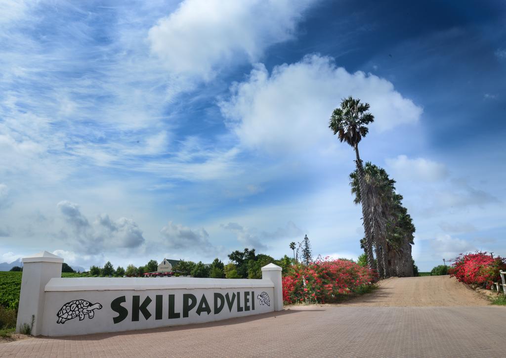 Skilpadvlei Wine Farm ステレンボッシュ エクステリア 写真