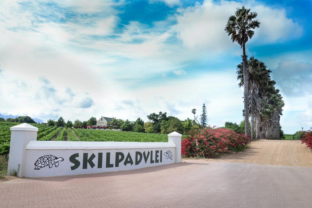 Skilpadvlei Wine Farm ステレンボッシュ エクステリア 写真